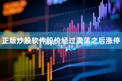 正版炒股软件股价经过震荡之后涨停