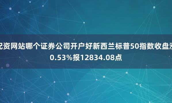 配资网站哪个证券公司开户好新西兰标普50指数收盘涨0.53%报12834.08点
