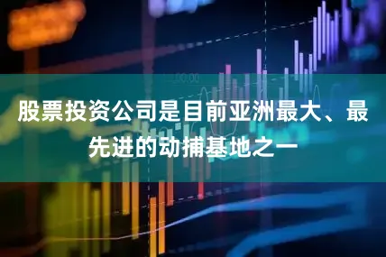 股票投资公司是目前亚洲最大、最先进的动捕基地之一