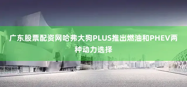 广东股票配资网哈弗大狗PLUS推出燃油和PHEV两种动力选择